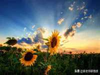 北京辉夜鼎网络科技有限公司
