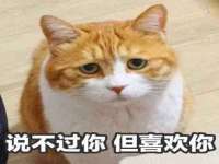 北京辉夜鼎网络科技有限公司