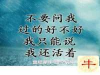 北京辉夜鼎网络科技有限公司