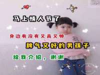 北京辉夜鼎网络科技有限公司