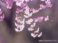 北京辉夜鼎网络科技有限公司