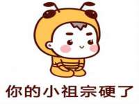 北京辉夜鼎网络科技有限公司