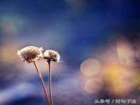 北京辉夜鼎网络科技有限公司