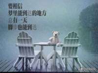 北京辉夜鼎网络科技有限公司