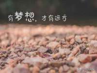 北京辉夜鼎网络科技有限公司