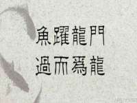 北京辉夜鼎网络科技有限公司