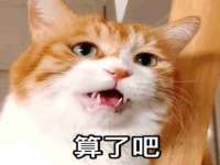 北京辉夜鼎网络科技有限公司