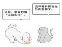 北京辉夜鼎网络科技有限公司