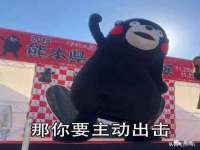 北京辉夜鼎网络科技有限公司