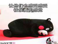 北京辉夜鼎网络科技有限公司