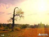 北京辉夜鼎网络科技有限公司