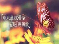 北京辉夜鼎网络科技有限公司