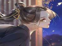 北京辉夜鼎网络科技有限公司