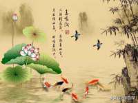 北京辉夜鼎网络科技有限公司