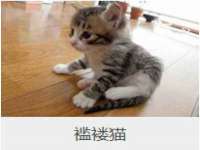 北京辉夜鼎网络科技有限公司