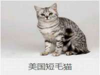 北京辉夜鼎网络科技有限公司