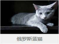 北京辉夜鼎网络科技有限公司