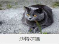 北京辉夜鼎网络科技有限公司
