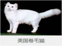 北京辉夜鼎网络科技有限公司