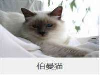 北京辉夜鼎网络科技有限公司