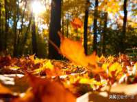 北京辉夜鼎网络科技有限公司