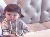 北京辉夜鼎网络科技有限公司