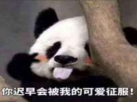 北京辉夜鼎网络科技有限公司
