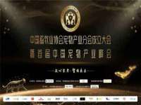 北京辉夜鼎网络科技有限公司