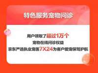 北京辉夜鼎网络科技有限公司