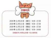 北京辉夜鼎网络科技有限公司