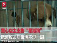 北京辉夜鼎网络科技有限公司