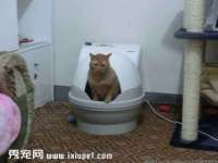 北京辉夜鼎网络科技有限公司