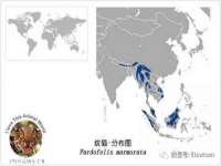 北京辉夜鼎网络科技有限公司