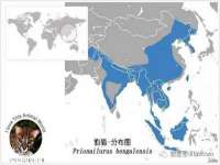北京辉夜鼎网络科技有限公司