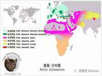 北京辉夜鼎网络科技有限公司