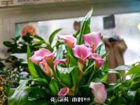 北京辉夜鼎网络科技有限公司