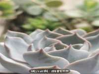 北京辉夜鼎网络科技有限公司