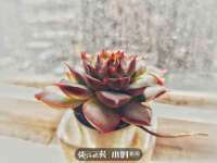 北京辉夜鼎网络科技有限公司