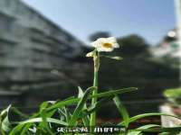 北京辉夜鼎网络科技有限公司