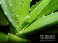 北京辉夜鼎网络科技有限公司