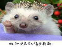 北京辉夜鼎网络科技有限公司