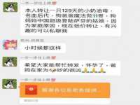 北京辉夜鼎网络科技有限公司