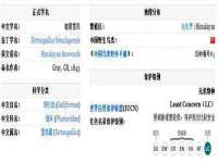北京辉夜鼎网络科技有限公司