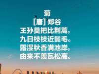 北京辉夜鼎网络科技有限公司