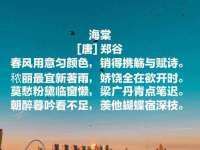北京辉夜鼎网络科技有限公司