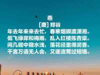 北京辉夜鼎网络科技有限公司