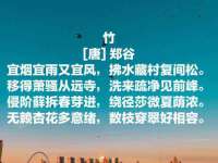 北京辉夜鼎网络科技有限公司