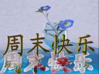 北京辉夜鼎网络科技有限公司