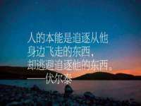 北京辉夜鼎网络科技有限公司