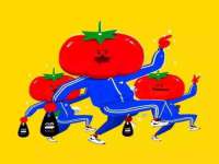 北京辉夜鼎网络科技有限公司